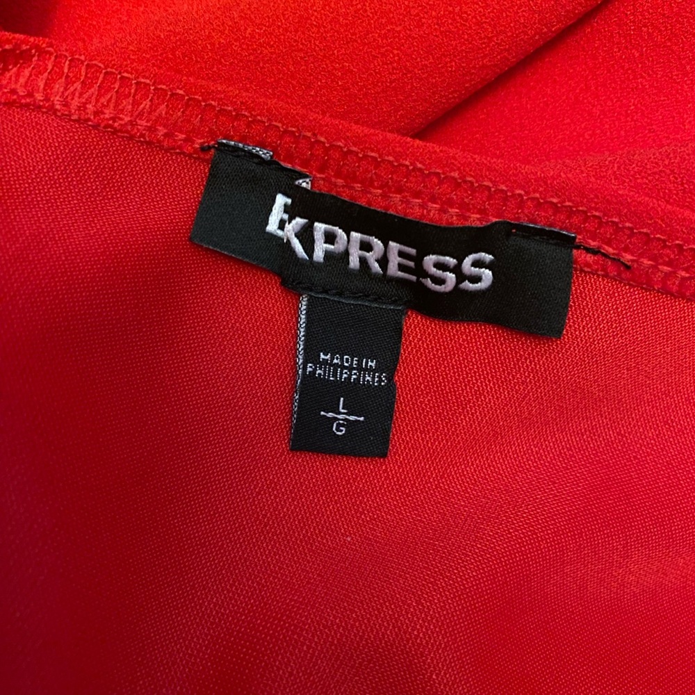 Express Dress - Picture 3 of 3